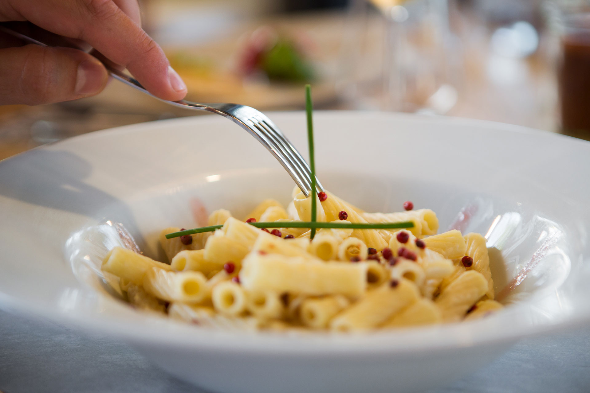 Gastronomy 3